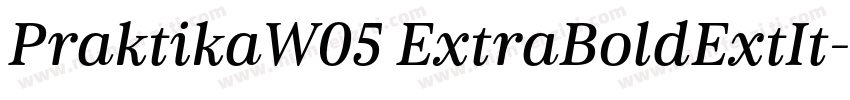 PraktikaW05 ExtraBoldExtIt字体转换